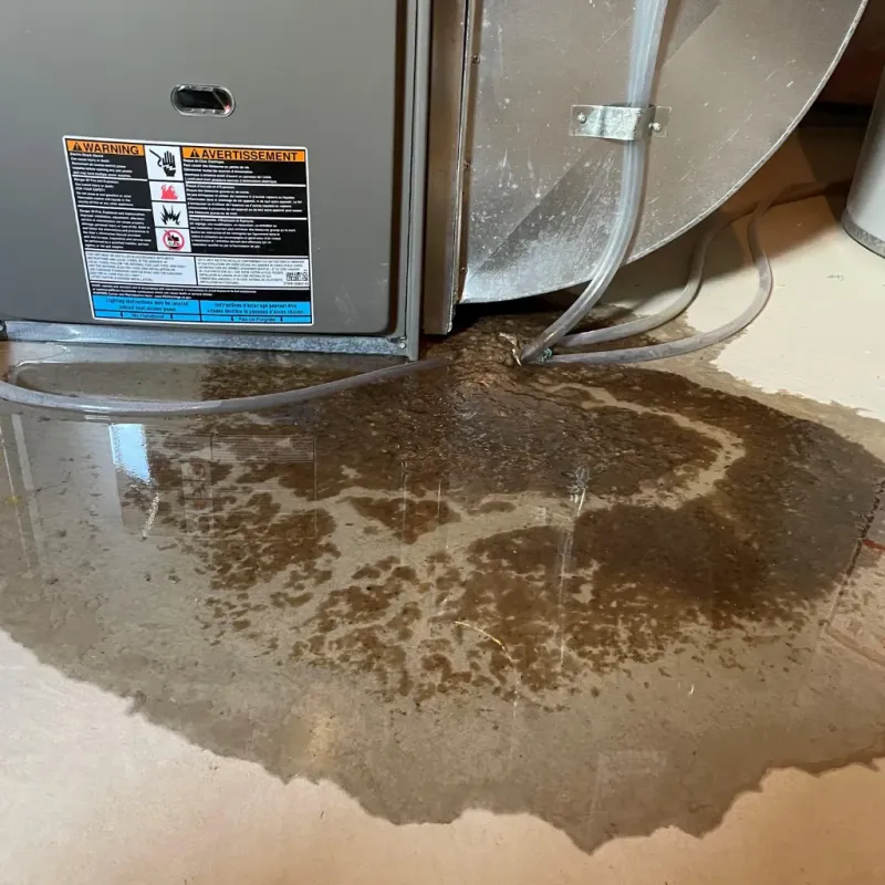 Appliance Leak Cleanup in Sudley, VA